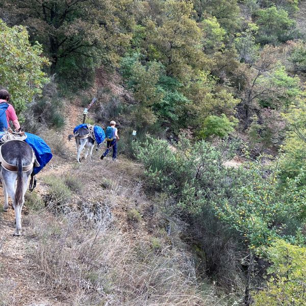 Eselwandern in den Abruzzen: Trekking-Abenteuer in Italien