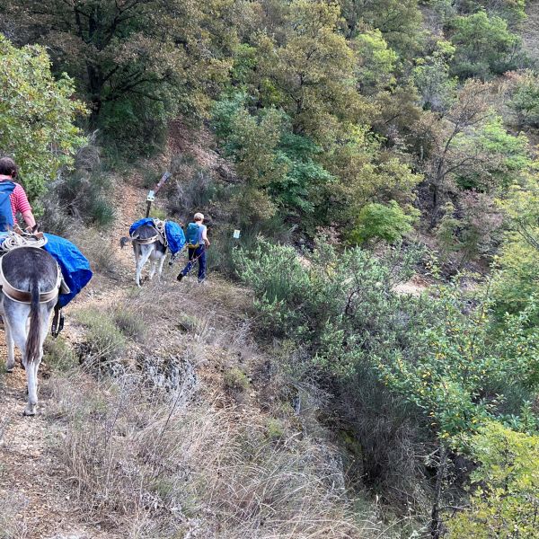 Eselwandern in den Abruzzen - Eselwanderung Italien