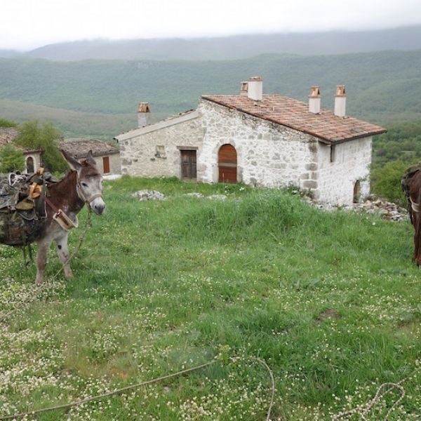 Eselwandern in den Abruzzen - Eselwanderung Italien