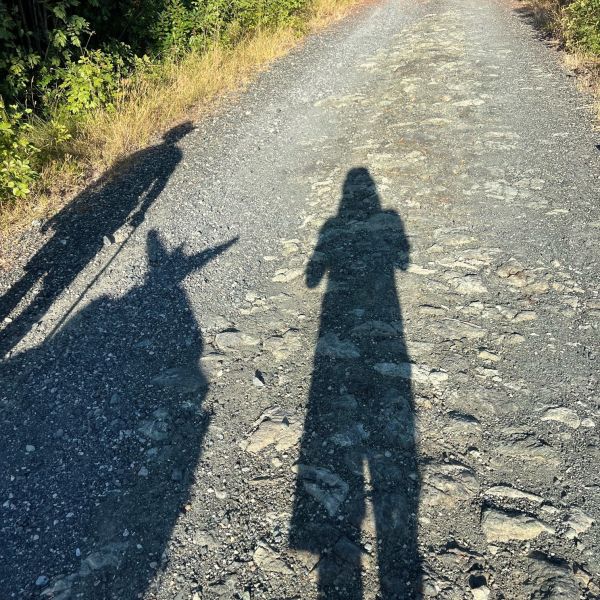 Eselwandern in der Toskana - Val di Cecina - Italien