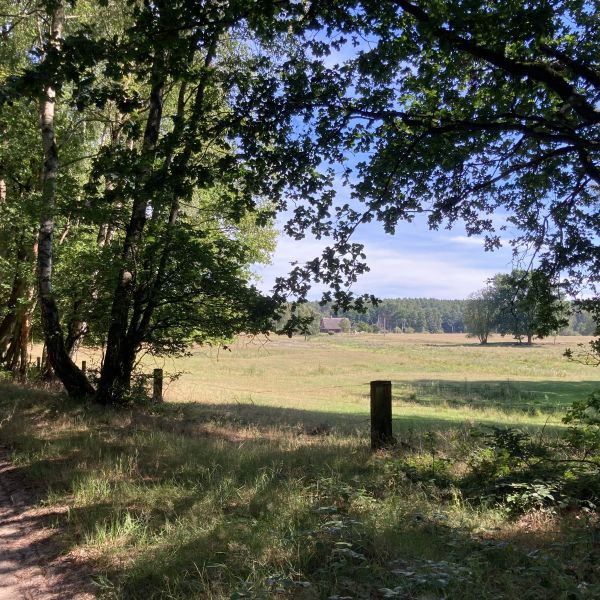 Stolperhof - Urlaub auf dem Bauernhof - Ostseeinsel Usedom