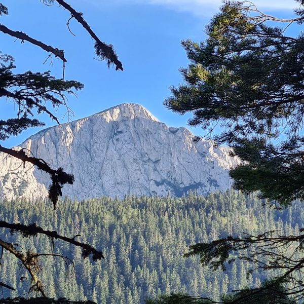 Abenteuer- und Aktivurlaub mit Kindern in Montenegro 