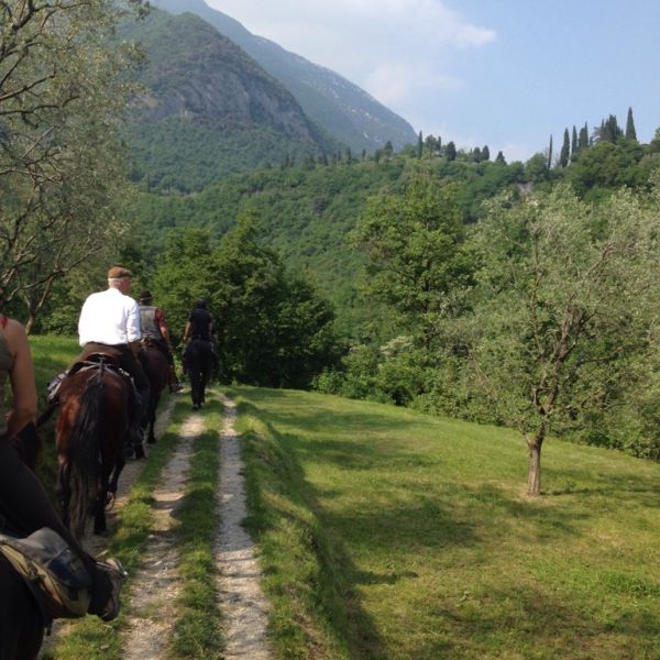 Gardasee: Urlaub auf dem Reiterhof - Italien