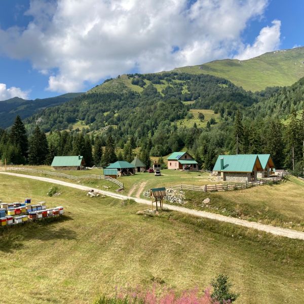 Wandern ohne Gepck in Montenegro: von Alm zu Alm im Nationalpark Bjelasica/Mokra Gebirge 