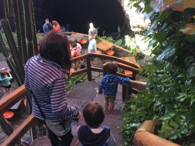 Jameos del Agua Grotte Lanzarote