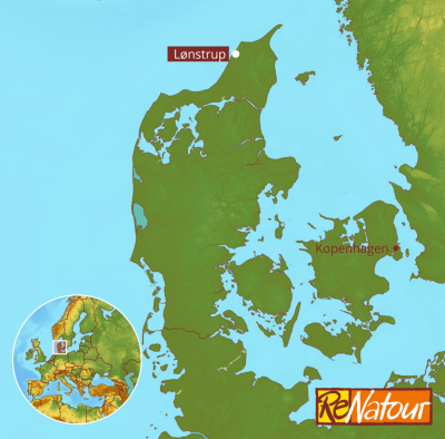 dnemark jtland nordsee ferienhof klitgaarden familienurlaub