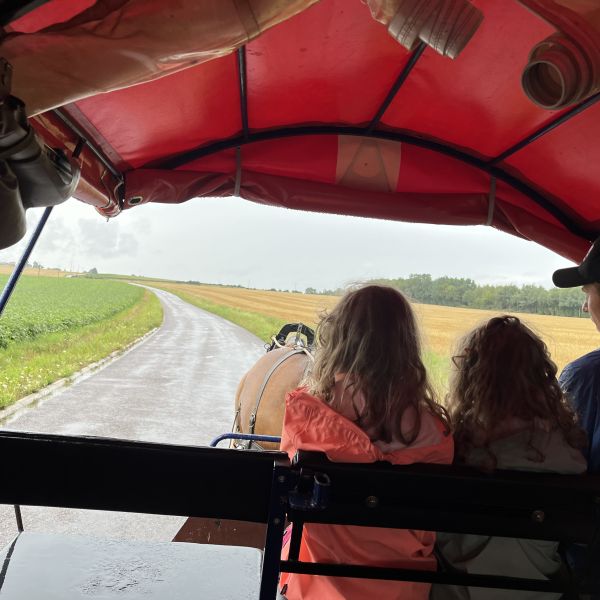 Planwagen-Urlaub in den Vogesen - Frankreich