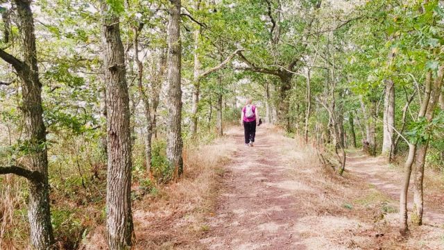 Wanderreise Normandie GR22 Weitwanderweg