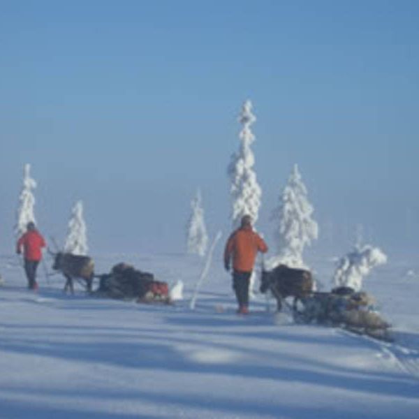 Familienurlaub in Schwedens Lappland - Winterabenteuer am Polarkreis