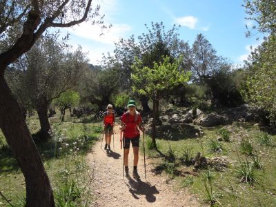 Aktivurlaub Mallorca- Wandern im Tramuntana Gebirge