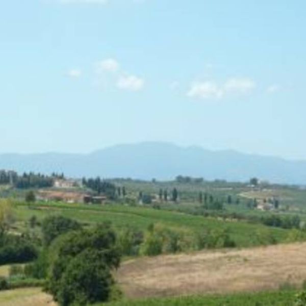 Toskana-Urlaub in Bio-Weingut bei Vinci