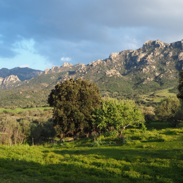 Agriturismo auf Sardinien - Urlaub zwischen Bergen und Meer