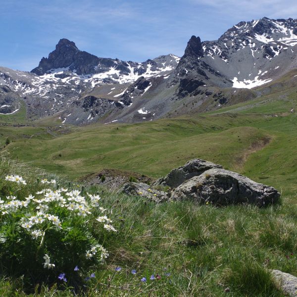 Wandern im Naturpark Queyras - S�dalpen/Frankreich