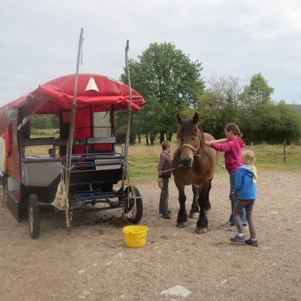 Planwagen-Urlaub in den Vogesen - Frankreich