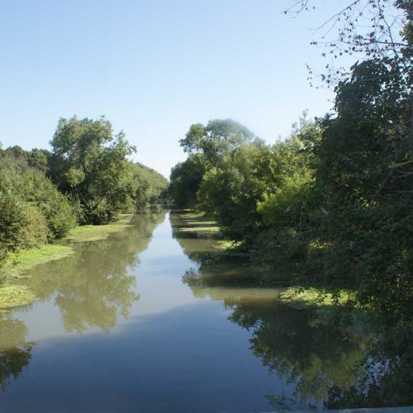 Familienurlaub im Landhaus Mas Fonrouge - Camargue/Sdfrankreich