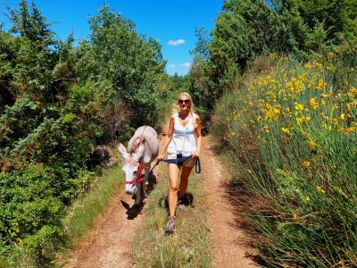 eselwandern frau mit esel sonne