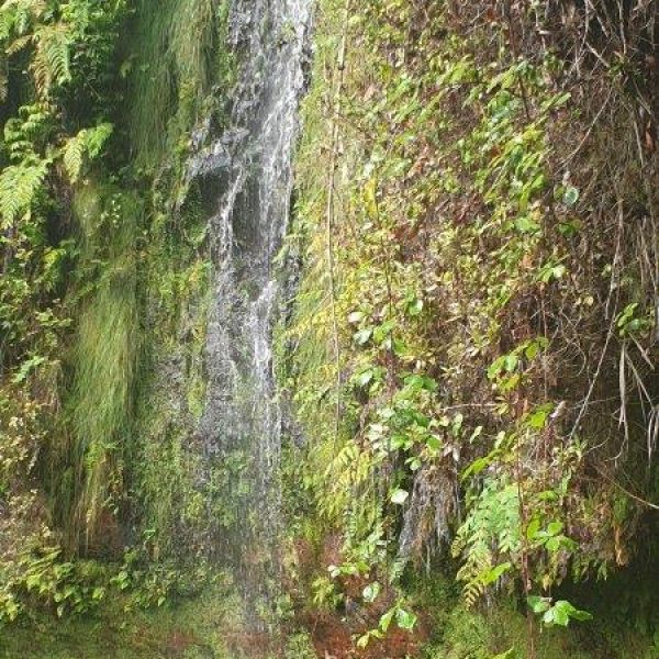 Rund um die Blumeninsel Madeira - Wanderwoche individuell