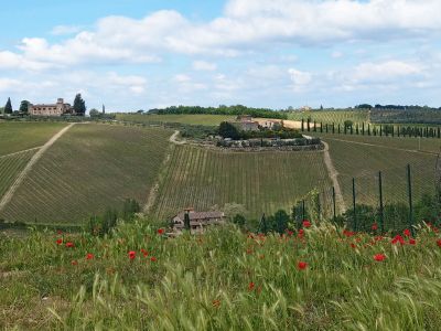 Wandern in Etappen ohne Gepck in der Toskana