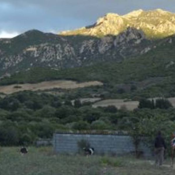 Agriturismo auf Sardinien - Urlaub zwischen Bergen und Meer