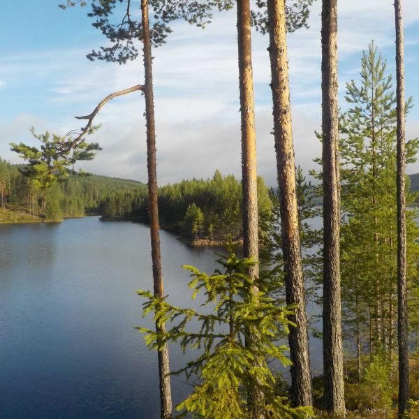 Abenteuer im Norden - Familienurlaub in Schweden