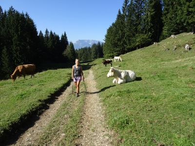 wandern chiemsee koenigssee wanderer