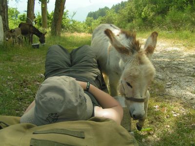 Eselwandern in Italien Aktivurlaub Sommerurlaub