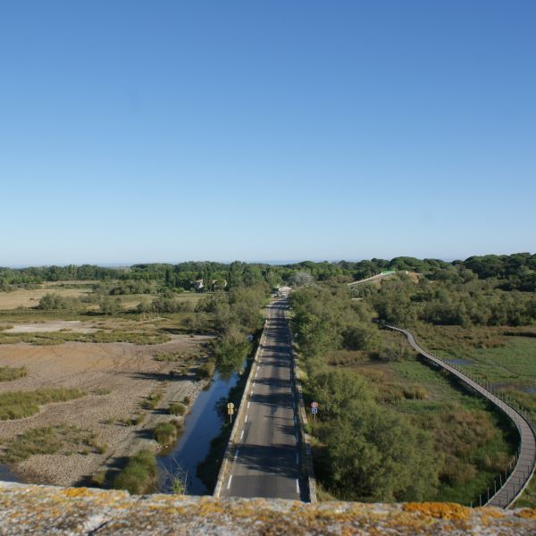 Familienurlaub im Landhaus Mas Fonrouge - Camargue/Sdfrankreich