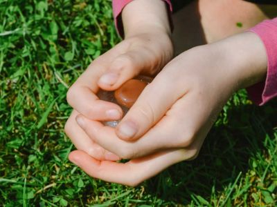 kreatives programm fuer kinder