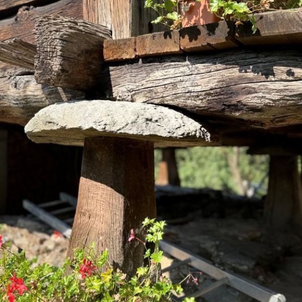 Bergwandern ohne Gepck im Valle del Lys - Aostatal