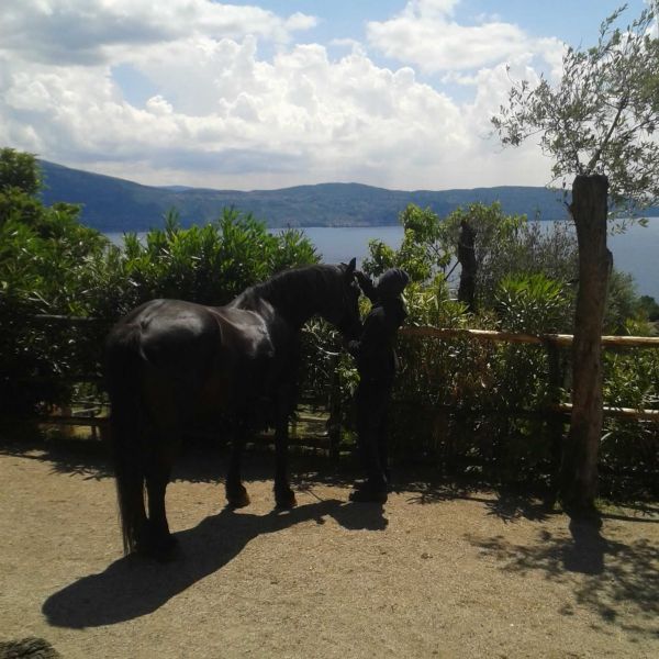 Gardasee: Urlaub auf dem Reiterhof - Italien