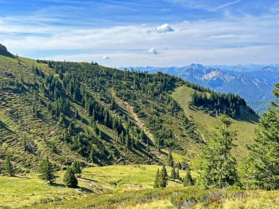 bayerische alpen wanderurlaub mit kind gr�ne almwiesen