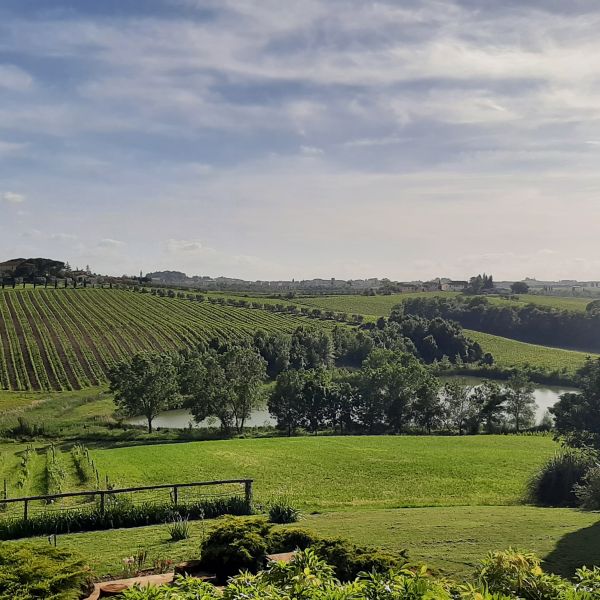 Toskana-Urlaub in Bio-Weingut bei Vinci