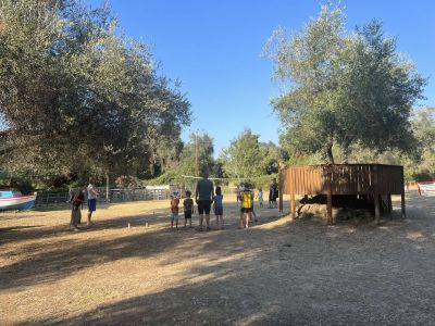 wikingerschach im garten spielen naturnah und pdagogisch