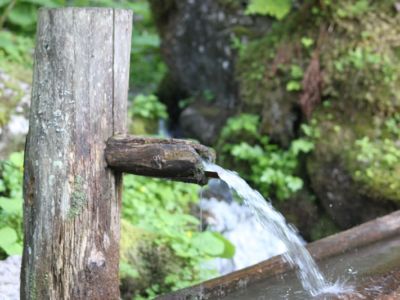 Yoga und Wandern in den Chiemgauer Alpen