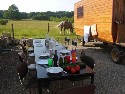 Sommerurlaub mit Pferden und Planwagen in den Vogesen