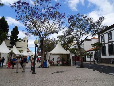 Individuelle Wanderung auf Madeira mit Gepcktransfer