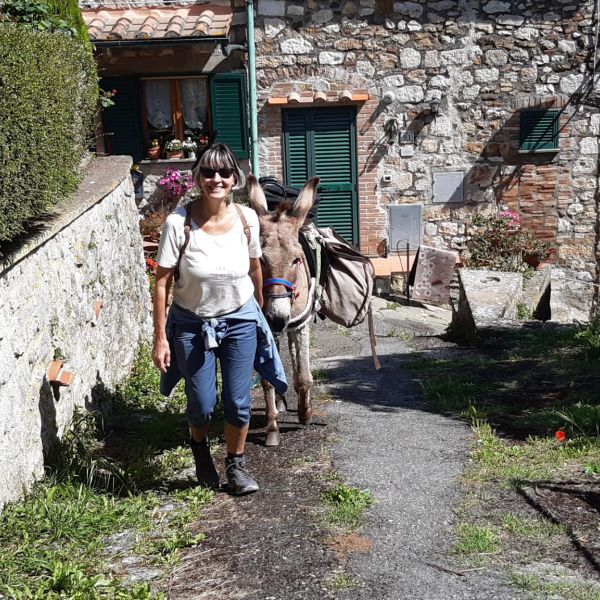 Eselwandern in der Toskana - Val di Cecina - Italien