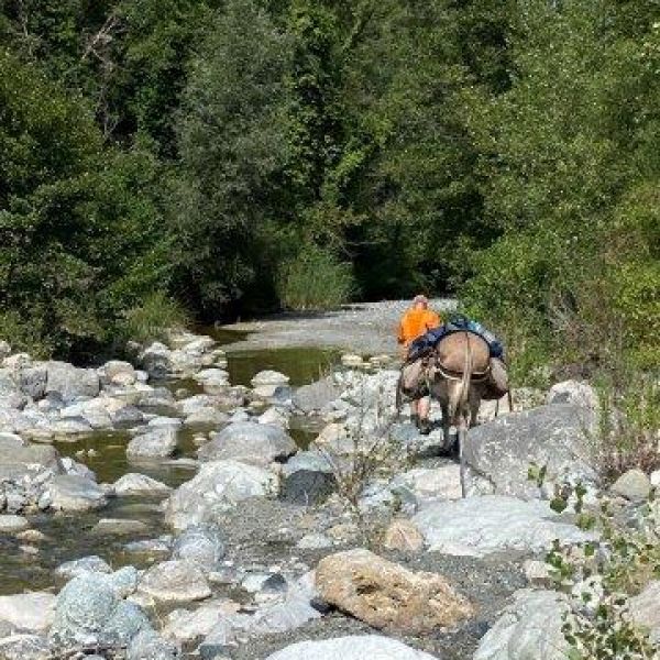 Eselwandern in der Toskana - Val di Cecina - Italien