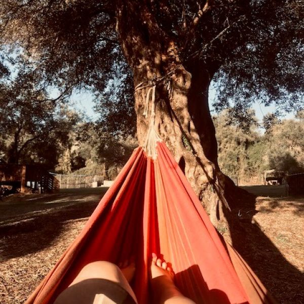 Im Honigtal auf Korfu - Familienurlaub Griechenland