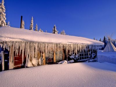 Wildnisdorf-Reisen nach Schweden.