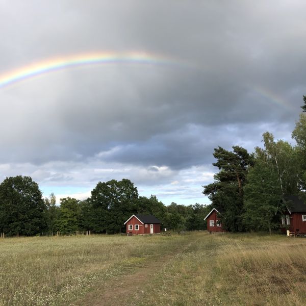 Familienurlaub auf dem Bauernhof auf land - Schweden