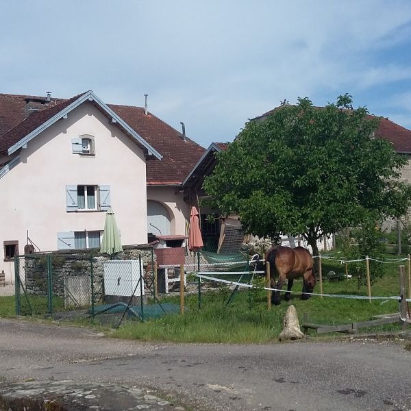 Planwagen-Urlaub in den Vogesen - Frankreich