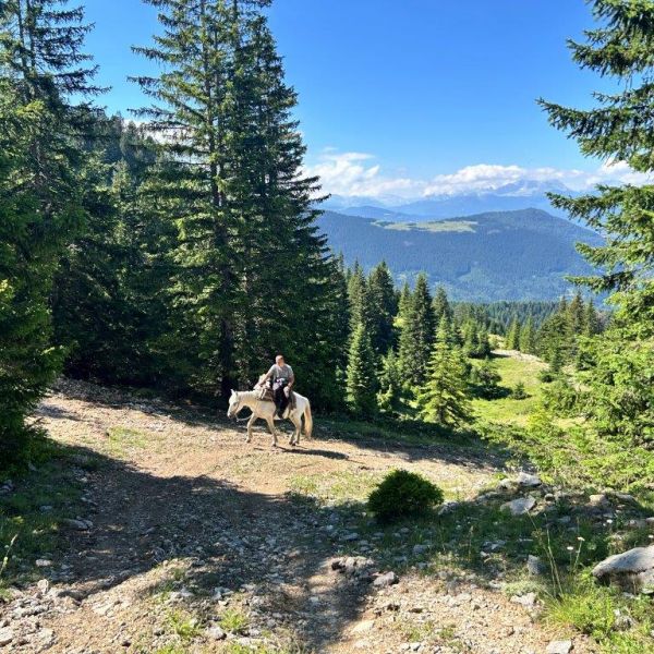 Wandern ohne Gepck in Montenegro: von Alm zu Alm im Nationalpark Bjelasica/Mokra Gebirge 