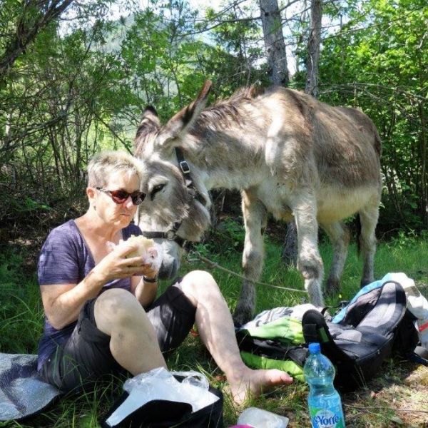 Eselwandern in Frankreich - Provence -  Sdalpen