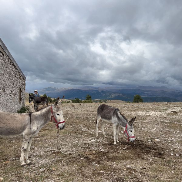 Eselwandern in den Abruzzen: Trekking-Abenteuer in Italien