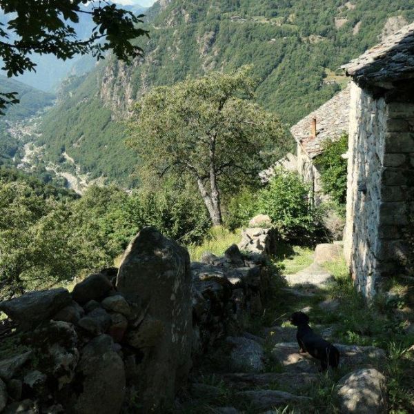 Bergwandern ohne Gepck im Valle del Lys - Aostatal