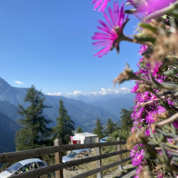 Genusswandern ohne Gepck in den Bergen des Val dAyas - Aostatal