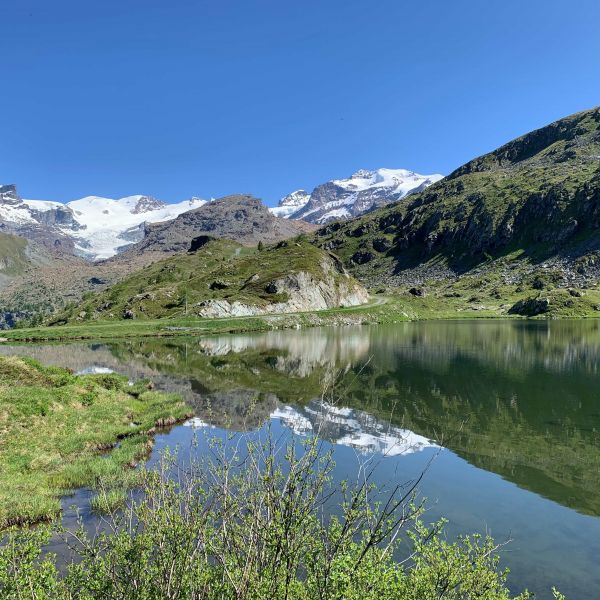 Genusswandern ohne Gepck in den Bergen des Val dAyas - Aostatal