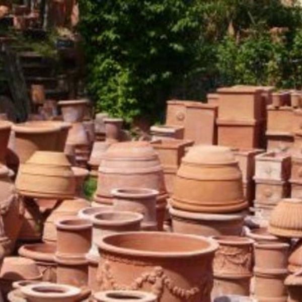Toskana-Urlaub in Bio-Weingut bei Vinci