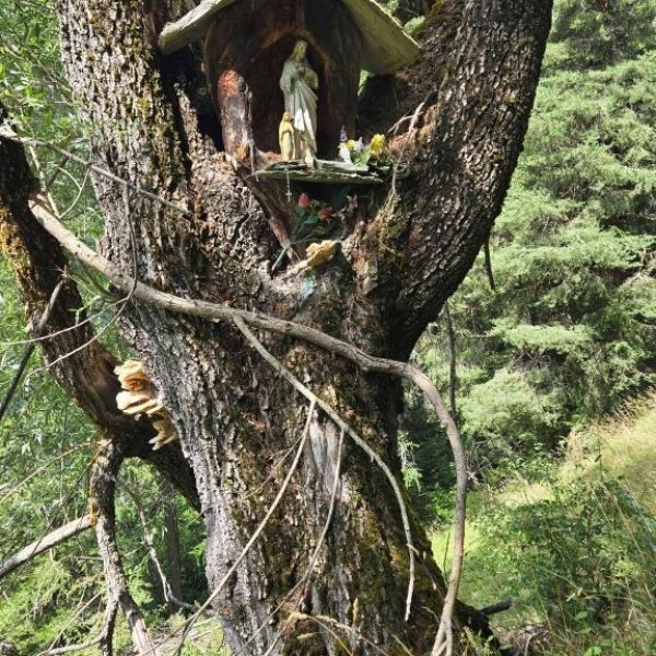 Genusswandern ohne Gepck in den Bergen des Val dAyas - Aostatal